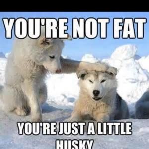 Meet your Posher, Cody